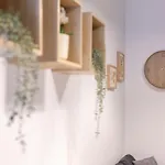 218 - Le Petit Bijou, Centro Storico Di - 800m Dall'ariston Apartment Sanremo